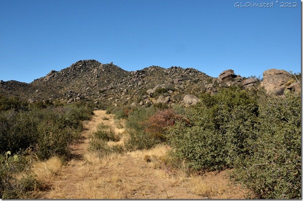 01-86-Two-track-trail-Weaver-Mts-Yarnell-AZ-1024x678_thumb.jpg