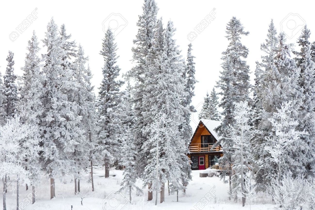 6775420-White-Christmas-in-winter-cabin-in-the-woods-between-snow-covered-spruce-trees-Stock-Photo.jpg