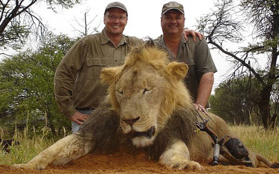 2AE7E38F00000578-3177303-Walter_Palmer_left_from_Minnesota_is_believed_to_have_shot_and_k-a-20_1438092983979.jpg