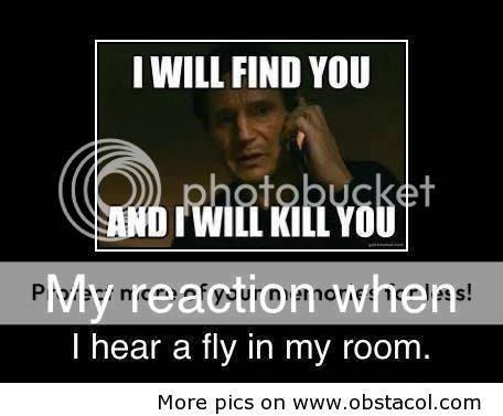 When-i-hear-a-fly-in-my-room_zps9fe28488.jpg