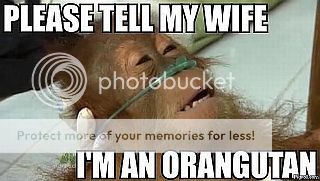 please_tell_my_wife_im_an_orangutan.jpg
