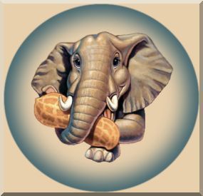 elephant-peanut.jpg
