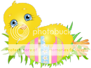 Easter_Chick_with_Egg_PNG_Clip_Art_Image_zpstajaqoob.png