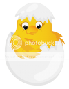 Easter_Chicken_in_Egg_Transparent_PNG_Clipart_zpsggtzyh1n.png