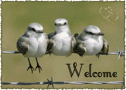 Welcome_birdsswingingfeet321213.gif