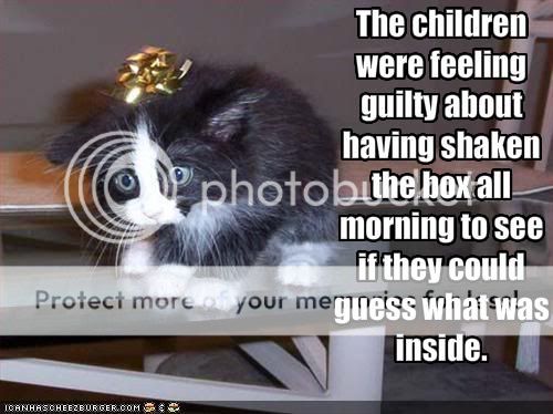 funny-pictures-gift-kitten-was-shak.jpg