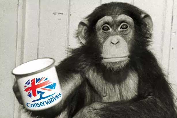 monkey-mug-con.jpg