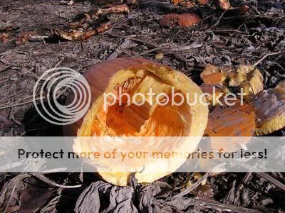 55_Smashed_pumpkin-1.jpg