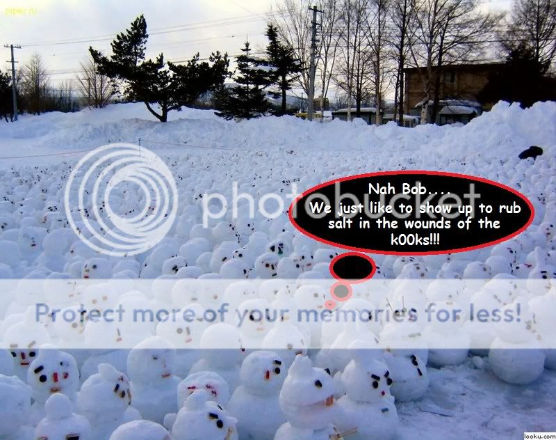 snowman-protest1-1.jpg