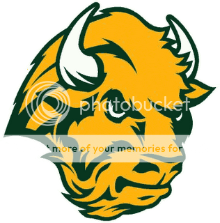 Bison_Alternative_Logo.png