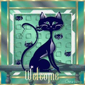 welcome_blackcat_mo-vi6777.gif