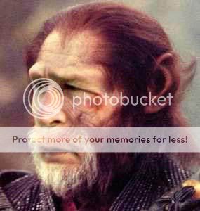 ape-bush.jpg