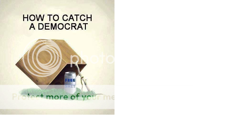 how%20to%20catch%20a%20democrat.png