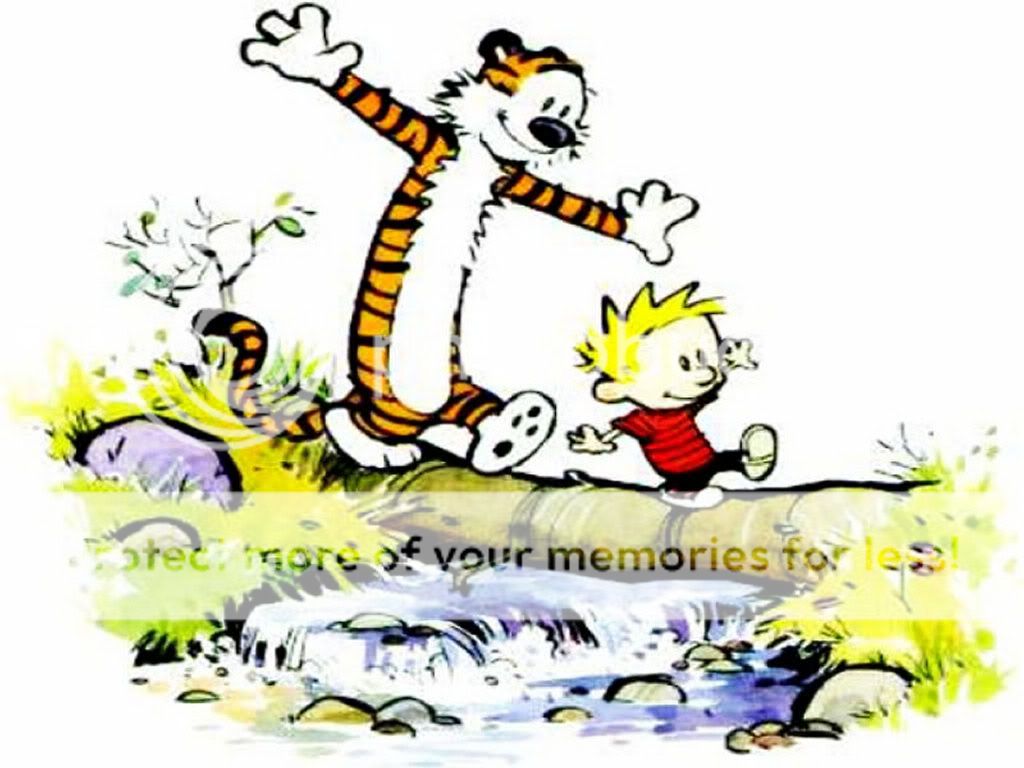 Calvin---Hobbes-calvin--26-hobbes-2.jpg