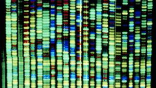 _89844321_g2100377-human_genome_research_computer_dna_sequencing-spl.jpg