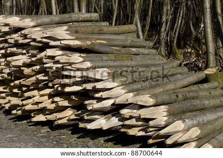 stock-photo-a-stack-of-pointed-sharpen-wooden-posts-or-fence-stakes-88700644.jpg