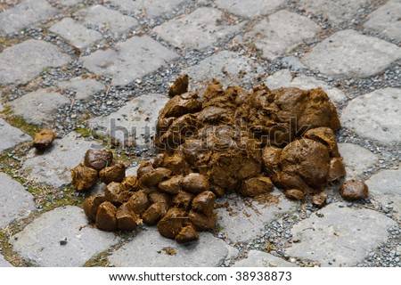 stock-photo-a-pile-of-fresh-and-smelly-horse-manure-on-paving-stone-38938873.jpg