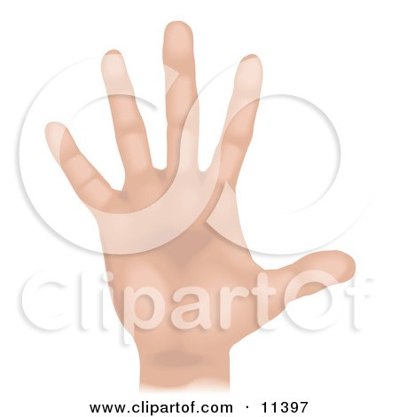 11397-Human-Hand-And-Fingers-Clipart-Illustration.jpg