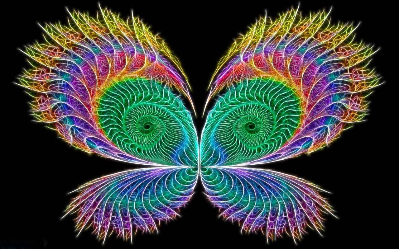 Butterfly-neon-colors-rock-18996035-1280-800.jpg