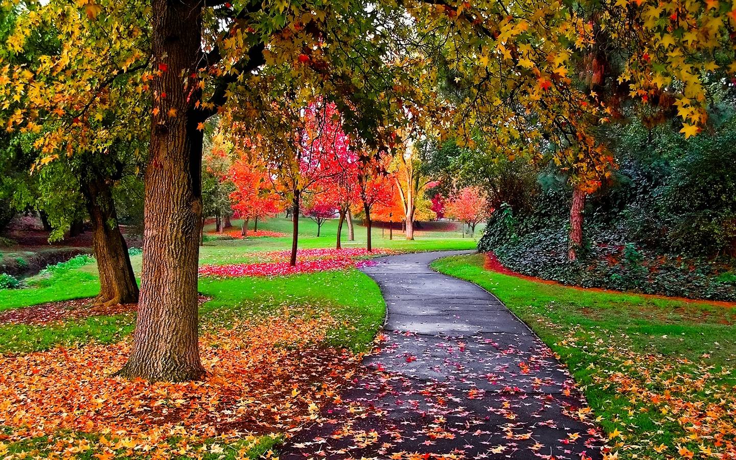 Autumn-in-the-Park-autumn-25517310-1440-900.jpg
