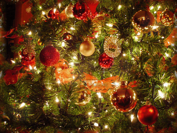 Have-A-Beautiful-Christmas-Berni-yorkshire_rose-27670174-614-461.gif