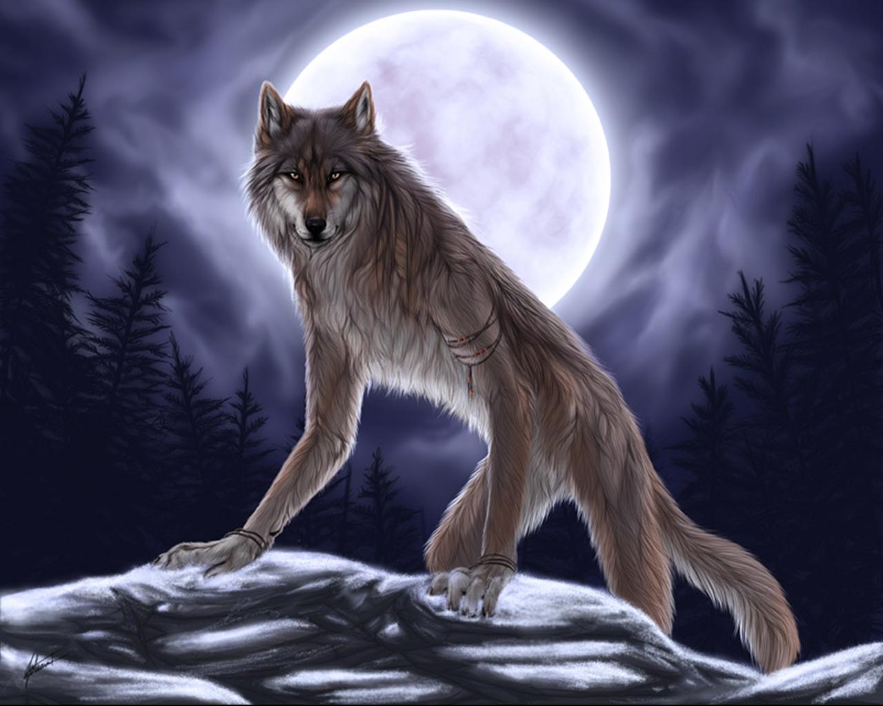 Werewolf-fantasy-31034491-1280-1024.jpg