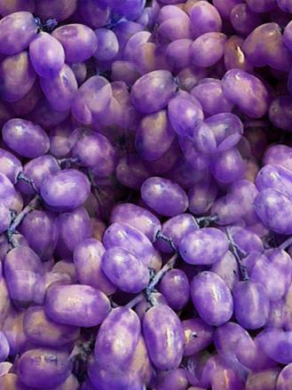 Dark-Purple-Grapes-colors-34691306-329-439.jpg