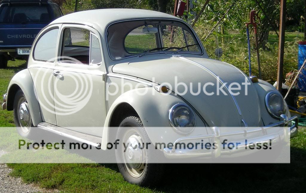 1966_volkswagen_beetle-pic-59003.jpg