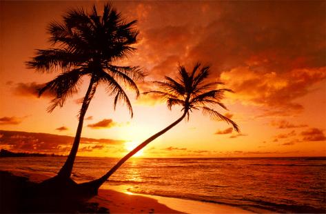 tropical-beach-sunset.jpg