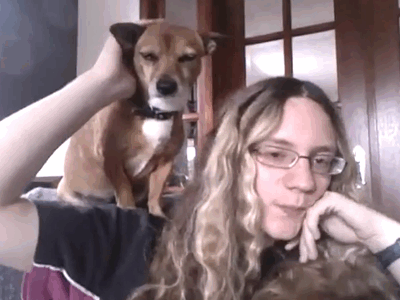 dog-stroking-girls-hair-petting-13649221275.gif