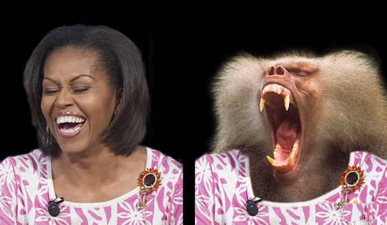 michelle-obama-baboon-monkey-totally-looks-like-laughing-smile-mouth-sad-hill-news1.jpg