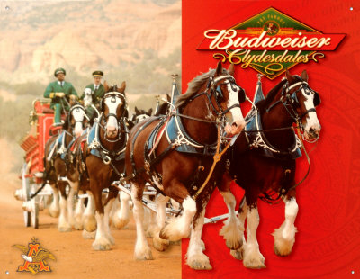 Budweiser-Horses.jpg