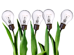 light-bulb-idea-plants.png