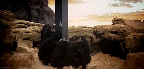 2001-monolith-monkeys.gif.cf.gif