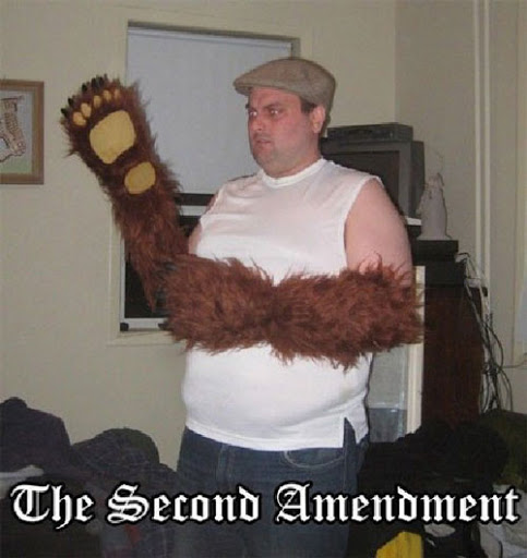 v3%25257Camused%25257C_img%25257Cthe-right-to-bear-arms.jpg