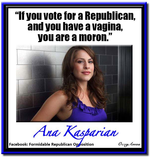 if-you-have-a-vagina-and-vote-republican-you-are-a-moron.jpg