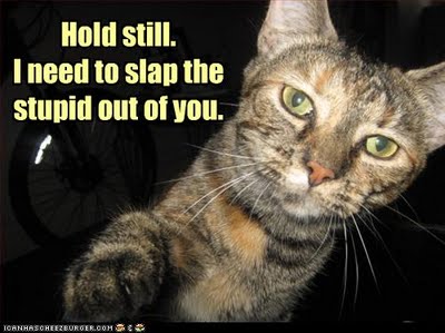 palin-cat-slap-the-stupid-out-of-you.jpg