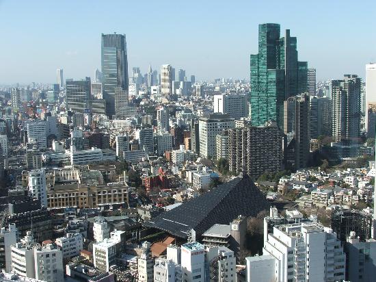 view-from-tokyo-tower.jpg