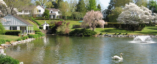the-pond-main-house.jpg