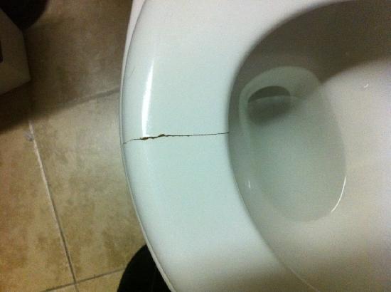 cracked-toilet-seat-provided.jpg