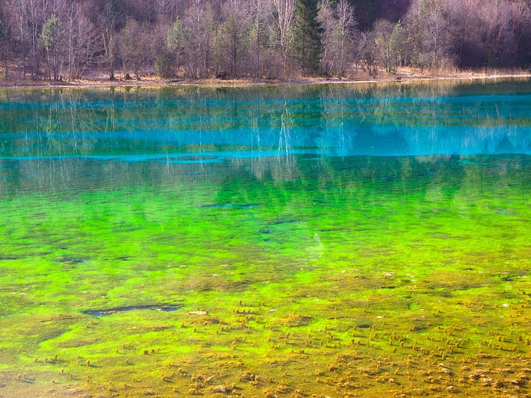 juizhaigou-china-colorful-algae-bloom-lake-prisma-bildagentur-ag-alamy.jpg