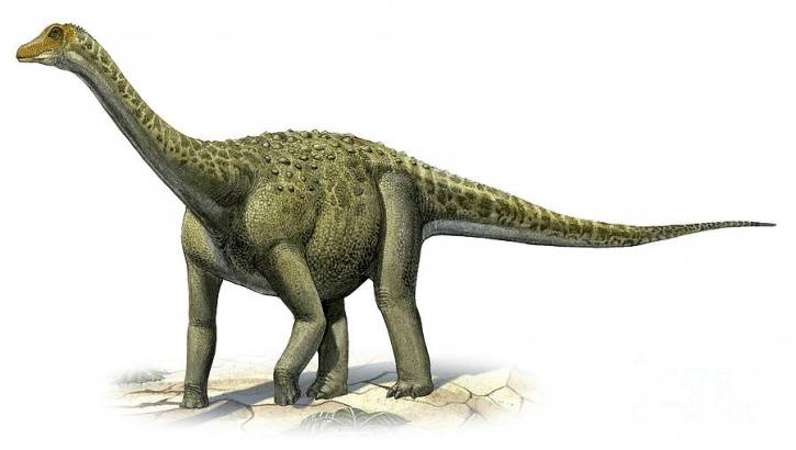 titanosaurus-indicus-a-prehistoric-era-sergey-krasovskiy_0204_1475308654_725x725.jpg