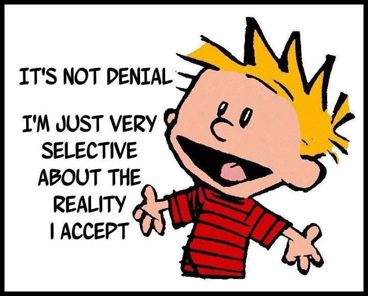 Calvin-Hobbes-Its-Not-Denial-poster.jpg