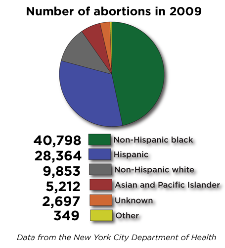 abortion-pie-chart-2.4.png