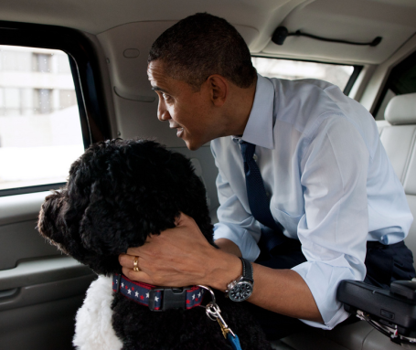 obama-and-bo-in-limo.png