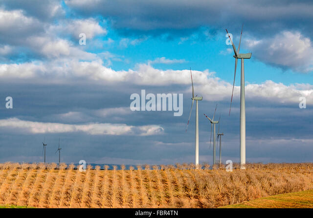 landscape-of-wheat-field-with-wind-turbines-fbr4tn.jpg