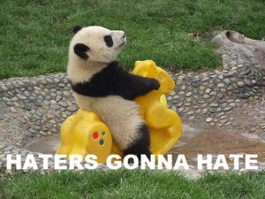 haters-gonna-hate-panda-300x225.jpg