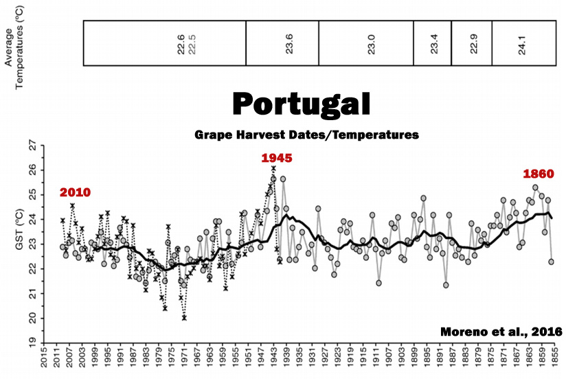 Holocene-Cooling-Portugal-Grape-Harvest-Moreno-16.jpg