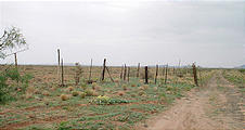 sw-08080951-1302-MexicanBorder-BarbedWireFence.jpg