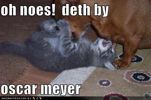 funny-dog-pictures-kitten-death-by-oscar-meyer.jpg